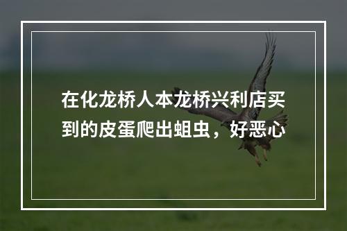 在化龙桥人本龙桥兴利店买到的皮蛋爬出蛆虫，好恶心