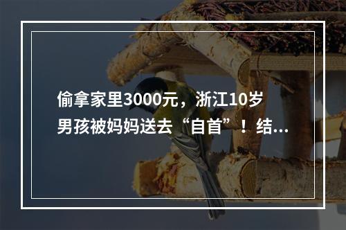 偷拿家里3000元，浙江10岁男孩被妈妈送去“自首”！结果亮了