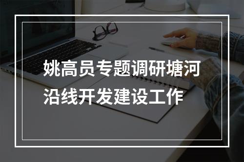 姚高员专题调研塘河沿线开发建设工作