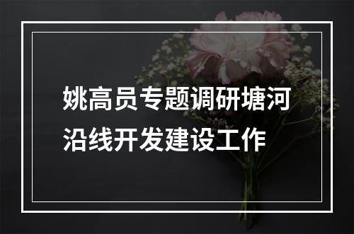 姚高员专题调研塘河沿线开发建设工作