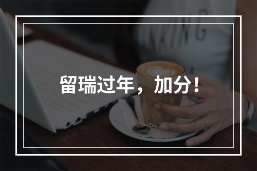 留瑞过年，加分！