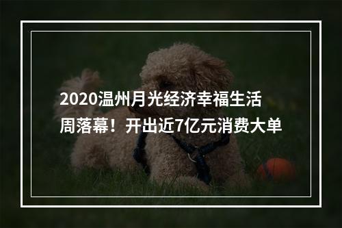 2020温州月光经济幸福生活周落幕！开出近7亿元消费大单