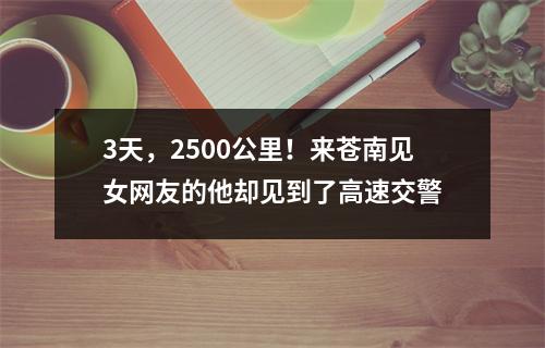 3天，2500公里！来苍南见女网友的他却见到了高速交警