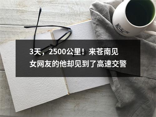 3天，2500公里！来苍南见女网友的他却见到了高速交警