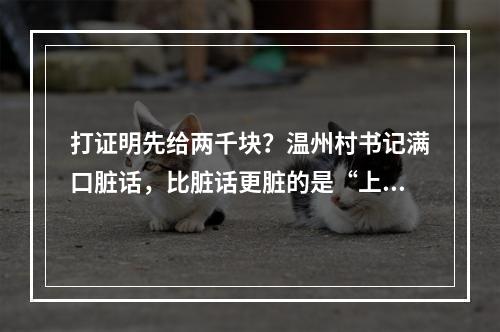 打证明先给两千块？温州村书记满口脏话，比脏话更脏的是“上面有人”的思维