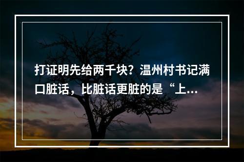 打证明先给两千块？温州村书记满口脏话，比脏话更脏的是“上面有人”的思维