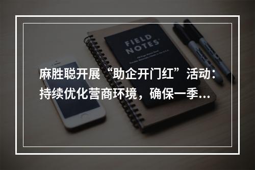 麻胜聪开展“助企开门红”活动：持续优化营商环境，确保一季度开门红！