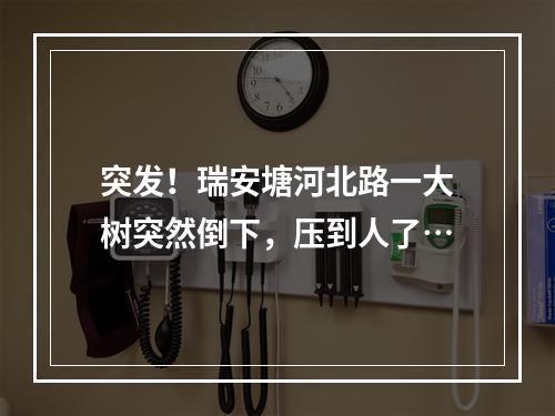 突发！瑞安塘河北路一大树突然倒下，压到人了…