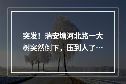 突发！瑞安塘河北路一大树突然倒下，压到人了…