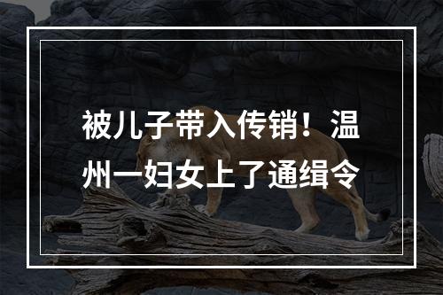 被儿子带入传销！温州一妇女上了通缉令