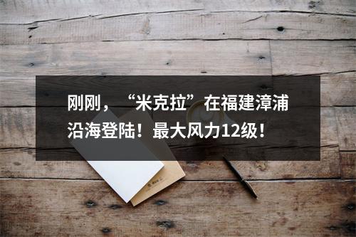 刚刚，“米克拉”在福建漳浦沿海登陆！最大风力12级！