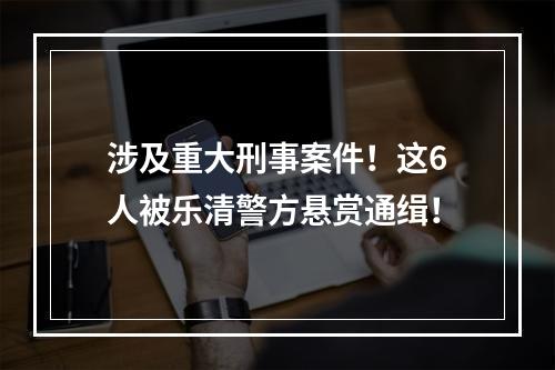 涉及重大刑事案件！这6人被乐清警方悬赏通缉！
