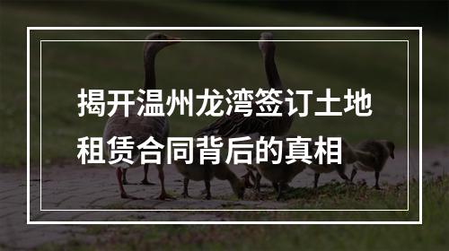 揭开温州龙湾签订土地租赁合同背后的真相