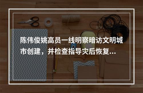 陈伟俊姚高员一线明察暗访文明城市创建，并检查指导灾后恢复工作