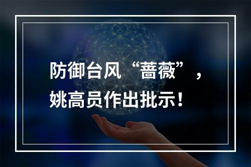 防御台风“蔷薇”，姚高员作出批示！