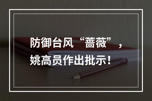 防御台风“蔷薇”，姚高员作出批示！