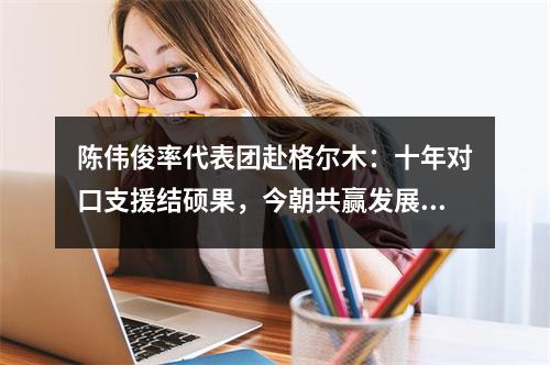 陈伟俊率代表团赴格尔木：十年对口支援结硕果，今朝共赢发展谱新篇