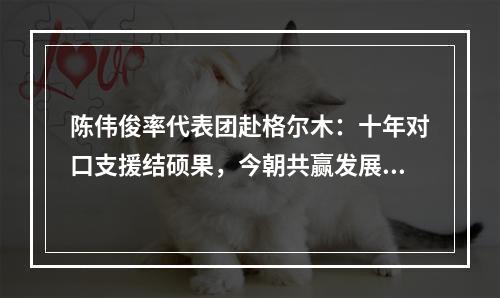 陈伟俊率代表团赴格尔木：十年对口支援结硕果，今朝共赢发展谱新篇