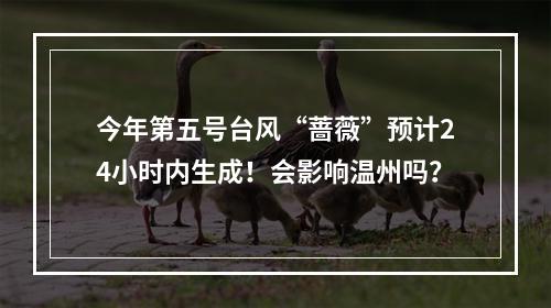 今年第五号台风“蔷薇”预计24小时内生成！会影响温州吗？