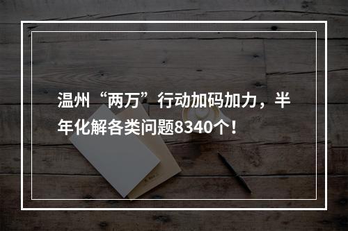 温州“两万”行动加码加力，半年化解各类问题8340个！