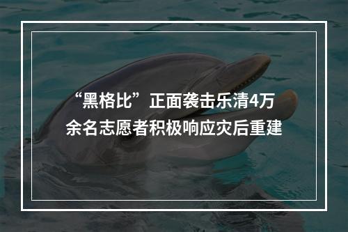 “黑格比”正面袭击乐清4万余名志愿者积极响应灾后重建