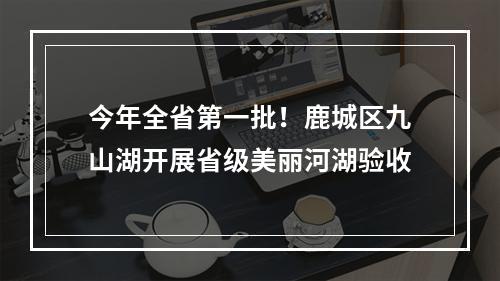 今年全省第一批！鹿城区九山湖开展省级美丽河湖验收
