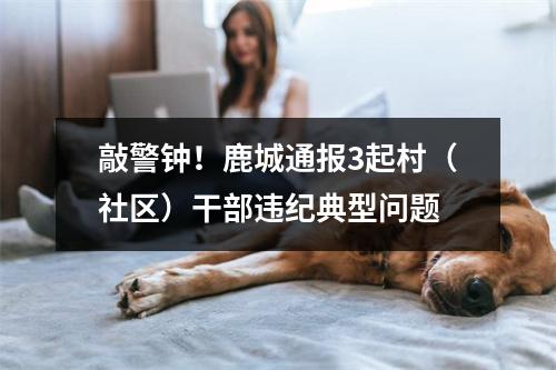 敲警钟！鹿城通报3起村（社区）干部违纪典型问题