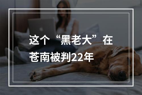 这个“黑老大”在苍南被判22年