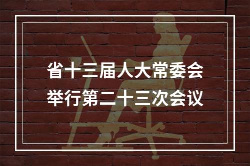 省十三届人大常委会举行第二十三次会议
