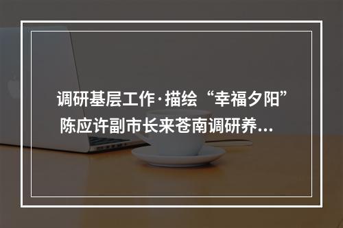 调研基层工作·描绘“幸福夕阳” 陈应许副市长来苍南调研养老工作
