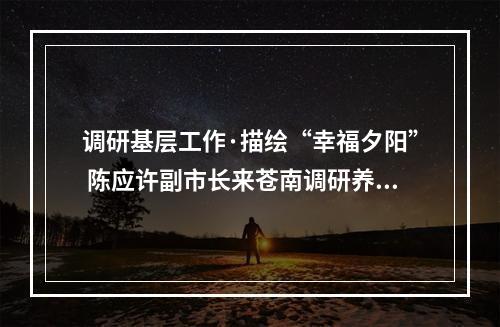 调研基层工作·描绘“幸福夕阳” 陈应许副市长来苍南调研养老工作