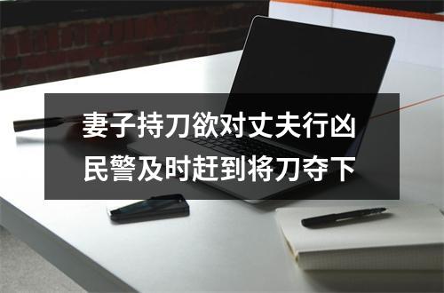 妻子持刀欲对丈夫行凶 民警及时赶到将刀夺下