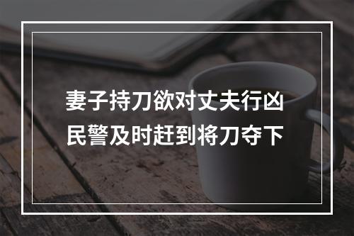 妻子持刀欲对丈夫行凶 民警及时赶到将刀夺下
