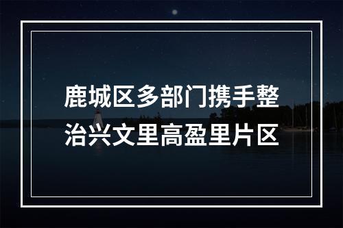 鹿城区多部门携手整治兴文里高盈里片区