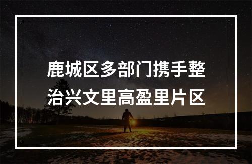 鹿城区多部门携手整治兴文里高盈里片区