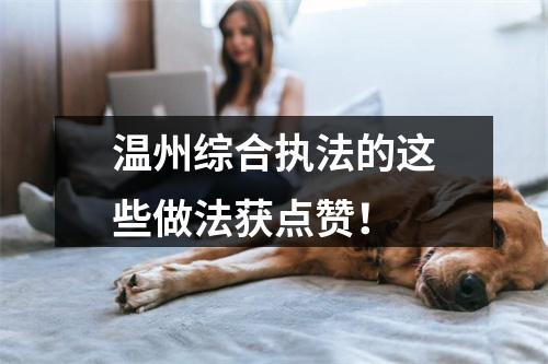 温州综合执法的这些做法获点赞！