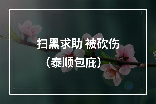 扫黑求助 被砍伤 （泰顺包庇）