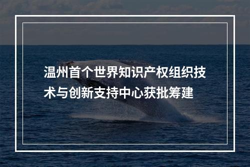 温州首个世界知识产权组织技术与创新支持中心获批筹建