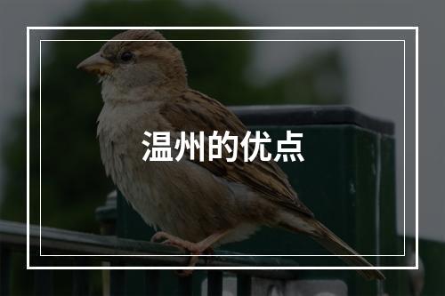 温州的优点