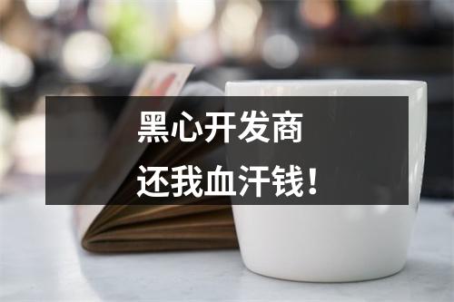 黑心开发商 还我血汗钱！