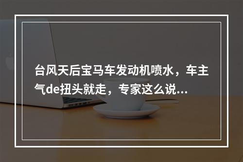 台风天后宝马车发动机喷水，车主气de扭头就走，专家这么说，你怎么看？