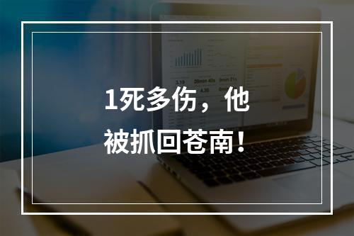 1死多伤，他被抓回苍南！