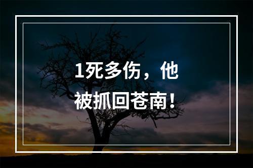 1死多伤，他被抓回苍南！