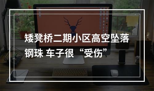 矮凳桥二期小区高空坠落钢珠 车子很“受伤”