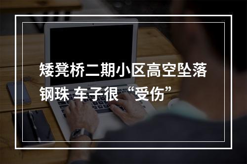 矮凳桥二期小区高空坠落钢珠 车子很“受伤”