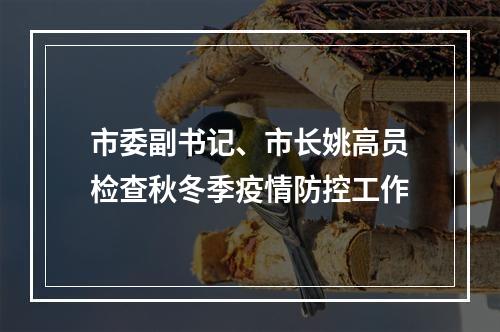 市委副书记、市长姚高员检查秋冬季疫情防控工作
