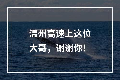 温州高速上这位大哥，谢谢你！
