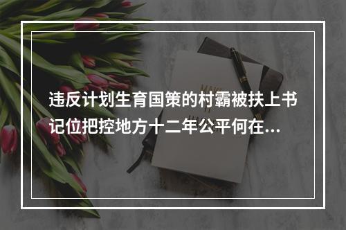 违反计划生育国策的村霸被扶上书记位把控地方十二年公平何在？良序何在？