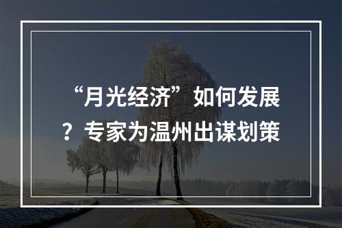 “月光经济”如何发展？专家为温州出谋划策