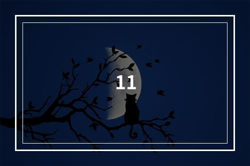 11